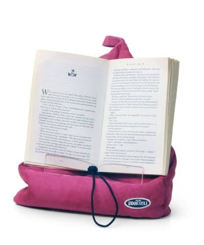 Book Holder and Travel Pillow