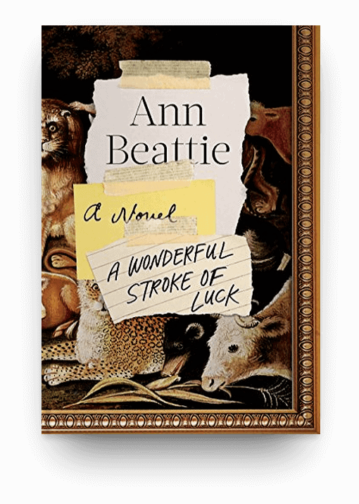 A Wonderful Stroke of Luck: A Novel