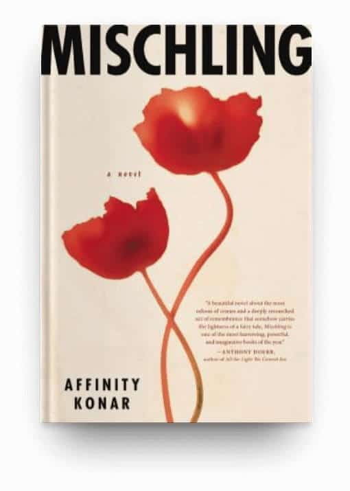 Mischling by Affinity Konar, a tragedy book about WWII